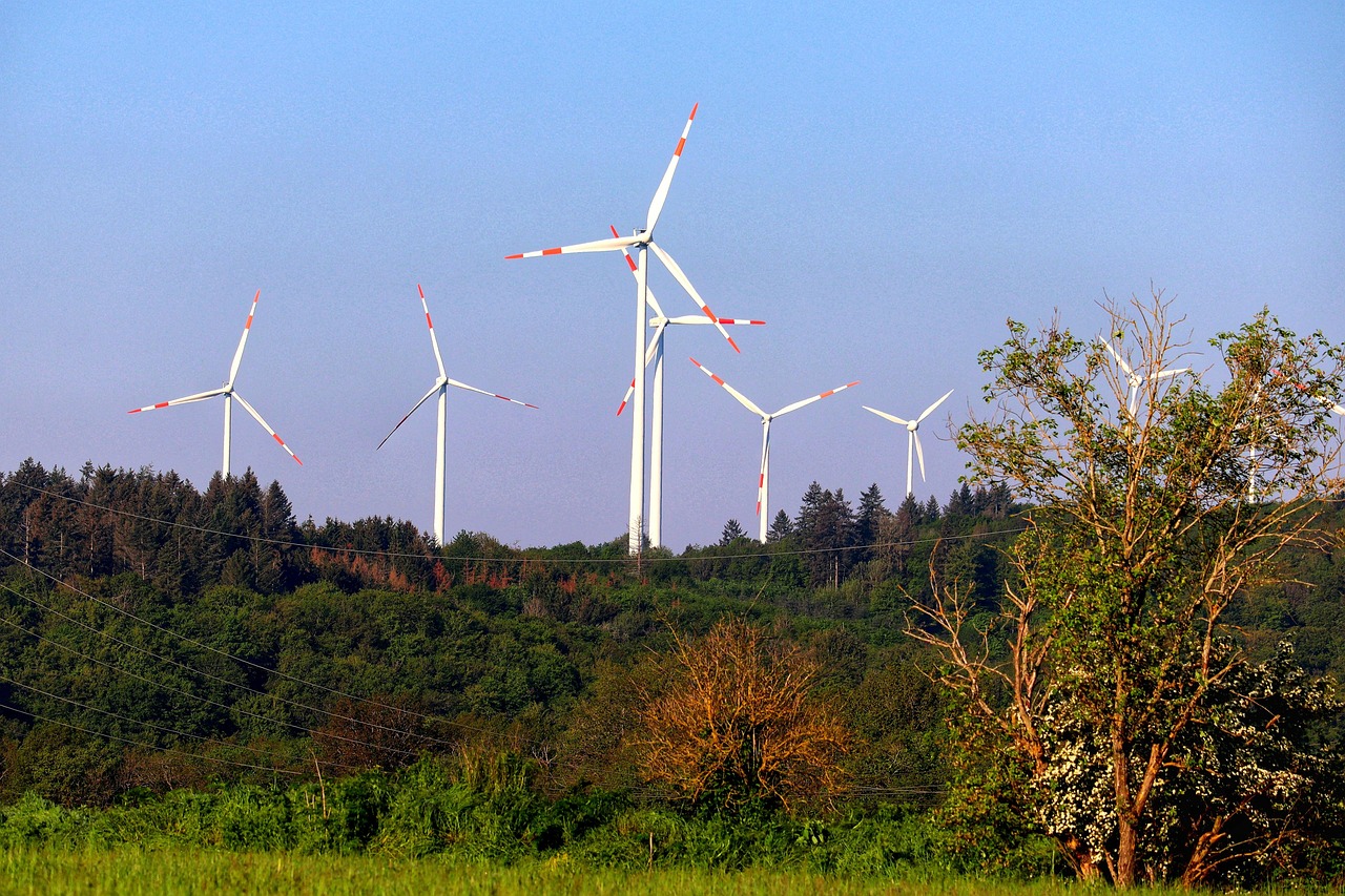 windmill, wind energy, power generation, alternative energy, environmental protection, energy transition, climate protection, landscape, nature, forest, green energy