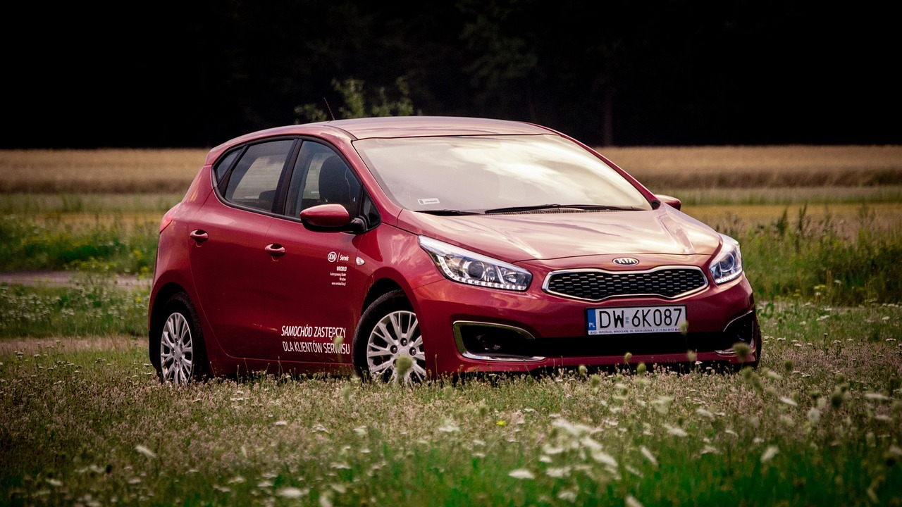 car, nature, kia, korea, car wallpapers, landscape, wheels, transport, auto, light, tourism, reflector, cars, grass, lacquer, automotive, replacement lamp, meadow, new, personal