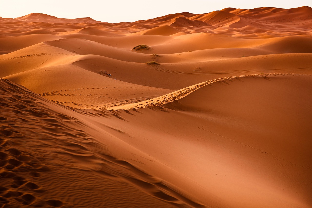 desert, sand dunes, dunes, dry, landscape, arid, badlands, sand, sandy, nature, desert, desert, desert, desert, desert