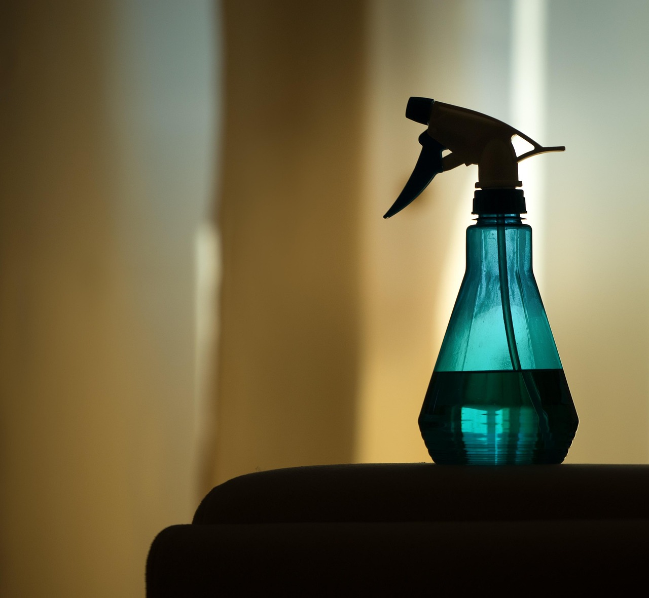 sprayer, atomizer, water, clean, curtain, living room, to clean, cleaning power, clean up, splash, backlighting, atomize, nature, light